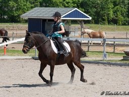 img-99291-597